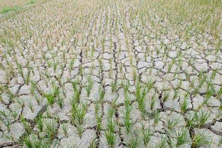 philippines dry season 2024|Climate Outlook 173rdCF 06262024 .